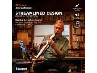 <b>Roland Aerophone AE-20 Saxofone Eletrónico ZEN-Core USB Bluetooth</b> <b>Roland Aerophone AE-20 Saxofone Eletrónico ZEN-Core USB Bluetooth</b>